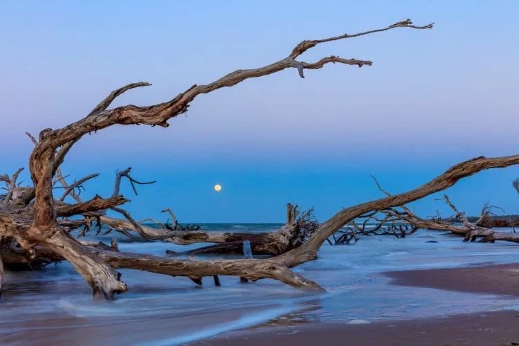 Big Talbot Island State Park