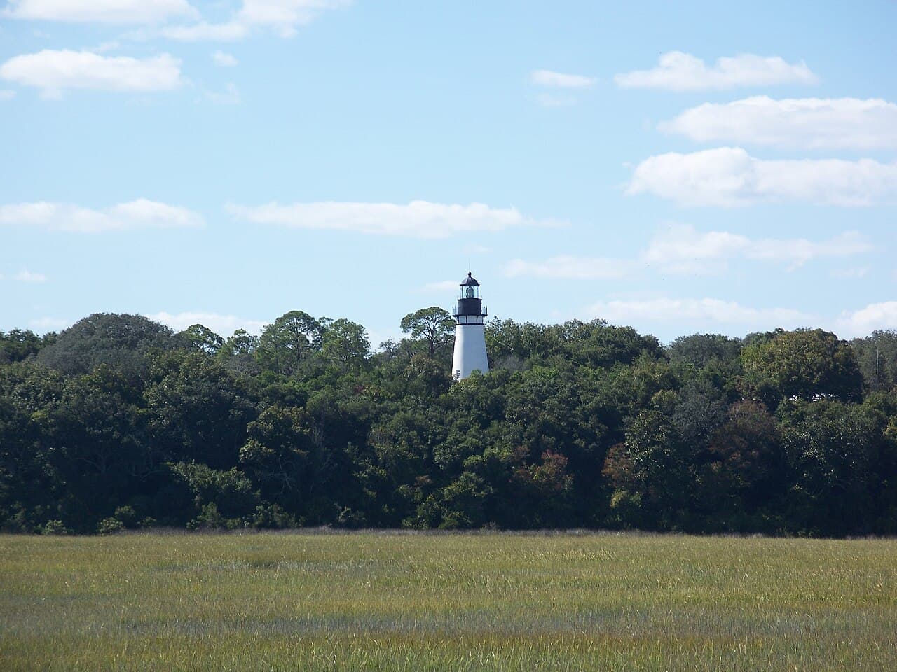The Amelia Island Lighthouse, a white conical tower, rising above a dark treeline beyond a golden salt marsh under a partly cloudy sky