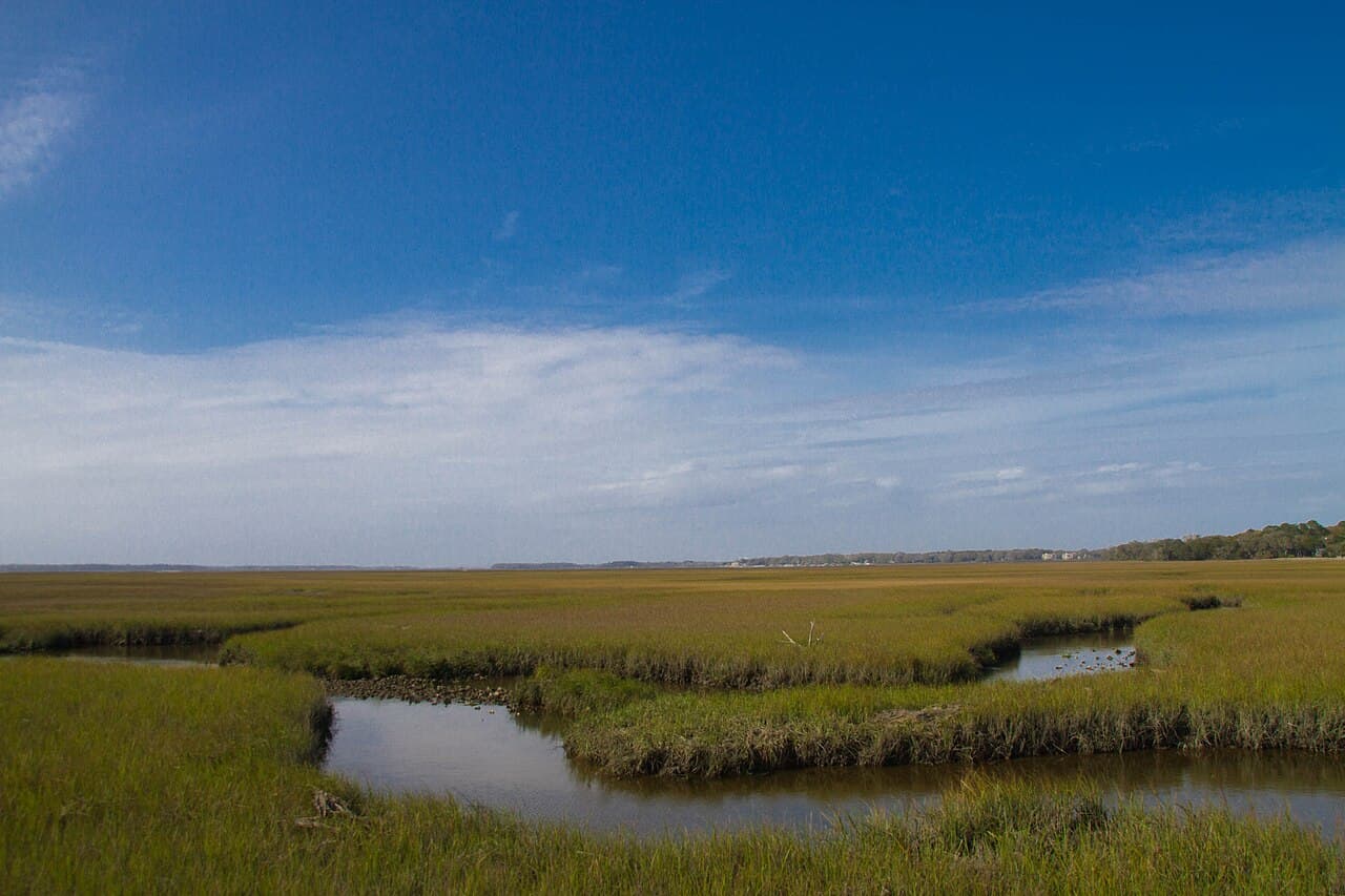 A broad Amelia Island salt marsh with tidal creeks winding through golden-green cordgrass toward a distant treeline under a blue sky